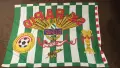 Голямо футболно Знаме на РАПИД ВИЕНА (Австрия) SK Rapid Wien - 130 на 95, с джоб за прът, снимка 2