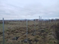 Ограждане на парцели и имоти, снимка 8