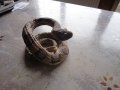 Страхотна скулптура фигура на змия фигура маркирана, снимка 10