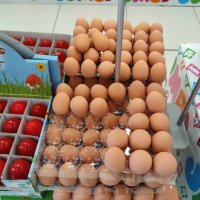 Изкуствени пластмасови яйца за кокошки тежки, снимка 16 - За птици - 40032040