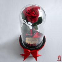 Оригинален Подарък за Жена / Вечна Роза от "Красавицата и звяра" / Жива Вечна Роза, снимка 2 - Подаръци за жени - 34470689