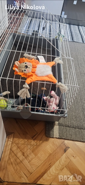 За куче, снимка 1