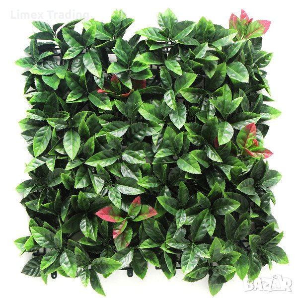  Пано 50х50см изкуствена зелена декорация Photinia, снимка 1