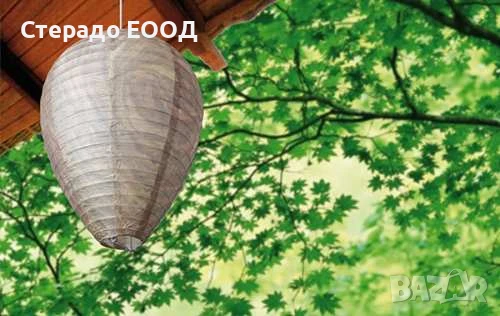 Гнездо на оси, снимка 1