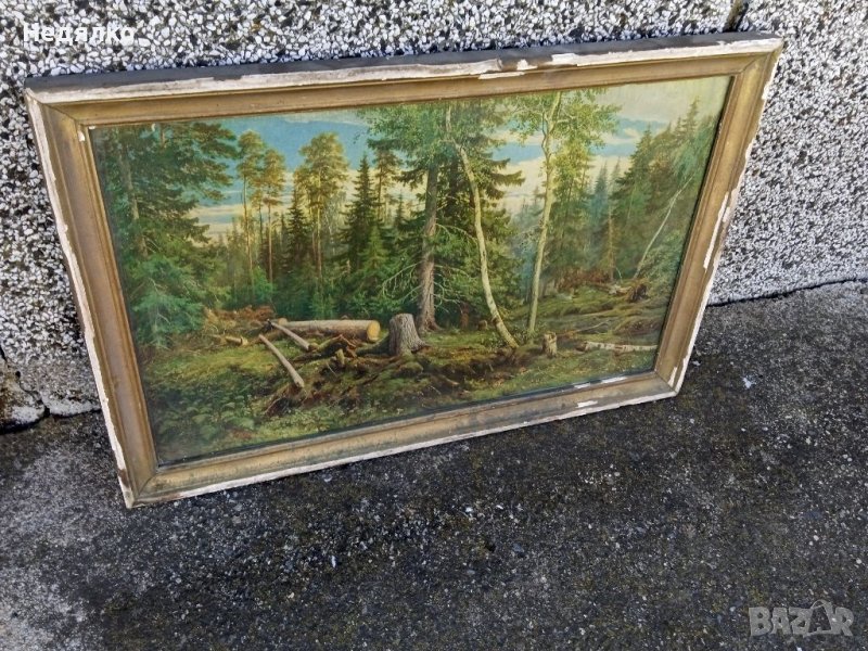 И.Шишкин,Рубка леса, картина, репродукция,1965г, снимка 1