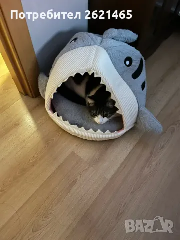 Котещка хралупа - къща с формата на акула, легло за котки, котка, куче, снимка 8 - За котки - 47665811