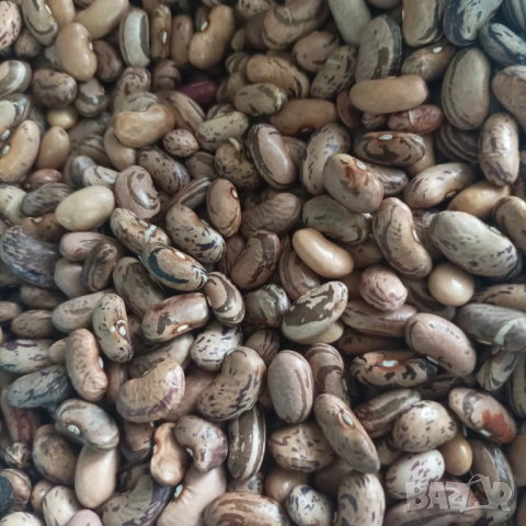 Бял и шарен боб , снимка 4 - Домашни продукти - 53627757