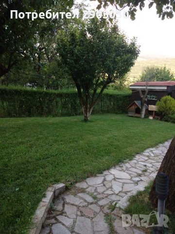 Почистване Дворове и Вили Рязане на Дърва за Огрев , снимка 2 - Други услуги - 41795780