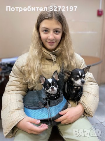 Мрежеста чанта за куче/котка Оксфорд, за пътуване, на открито-удобна чанта с прашка, снимка 9 - За кучета - 40916385