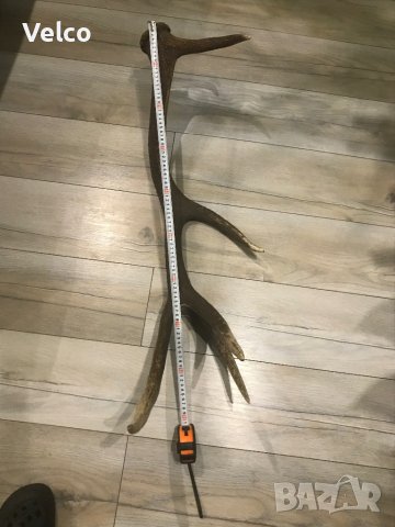 еленски рог 