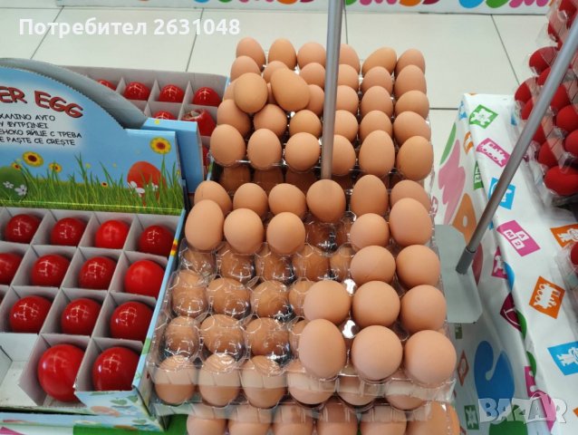 Изкуствени пластмасови яйца за кокошки тежки, снимка 16 - За птици - 40032040