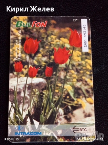 Четири фонокарти МОБИКА, БУЛ ФОН тема ЦВЕТЯ редки за КОЛЕКЦИЯ ДЕКОРАЦИЯ 50834, снимка 7 - Колекции - 51666432