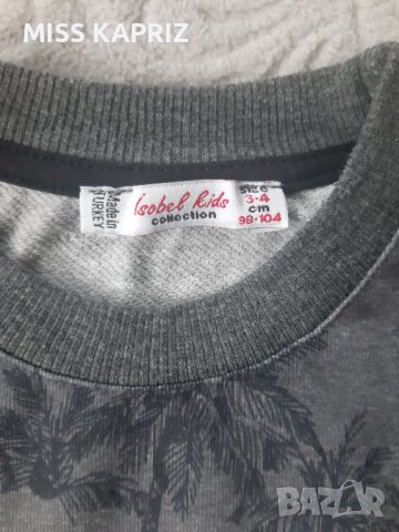 ЛОТ Блузи за момче 3-4г., снимка 7 - Детски Блузи и туники - 41372361