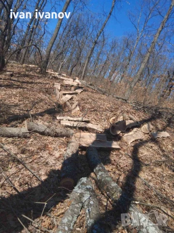 дърва за огрев , снимка 4 - Дърва за огрев - 50627807