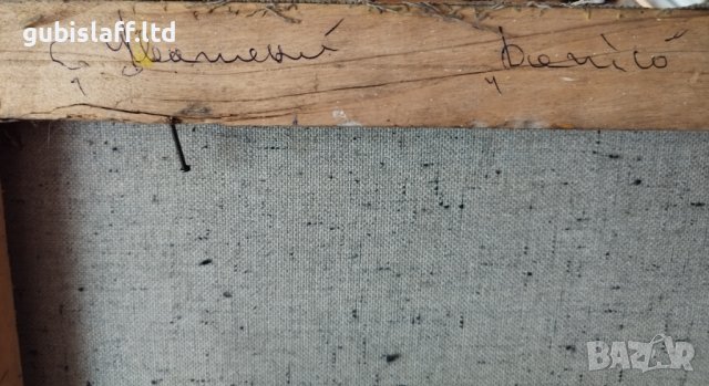 Картина, натюрморт, худ. Данаил Цонев, 2012 г., снимка 3 - Картини - 44363502