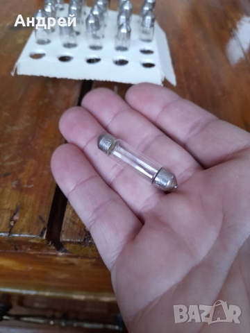 Стара крушка,крушки Светлина #4, снимка 3 - Други ценни предмети - 36047501