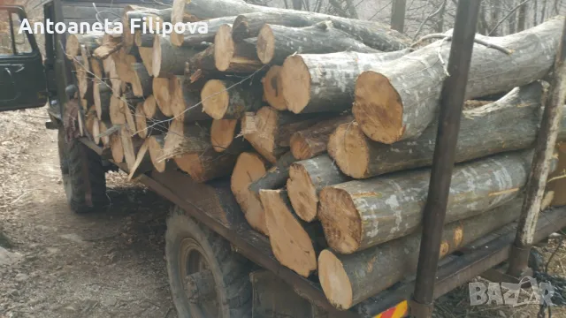 дърва за огрев дъб,бук,цер и габър