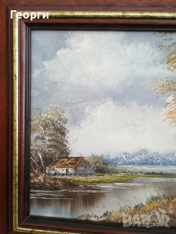 Картина масло-289, снимка 2 - Антикварни и старинни предмети - 52220942