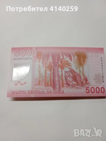 ЧИЛИ БАНКНОТА 5000 ПЕСО , снимка 3 - Нумизматика и бонистика - 56333652