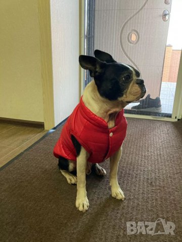 Якета за мъжки и женски кучета. Грейка за куче. Елек за куче. Яке за куче. Кучешки якета. Дрехи, снимка 8 - Други стоки за животни - 34462833
