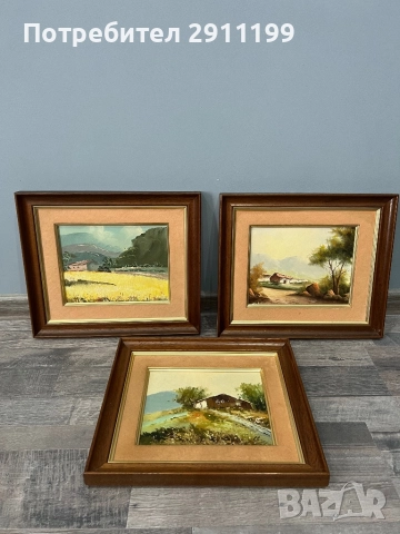 Картина с маслени бои, комплект от три, снимка 8 - Картини - 51785413