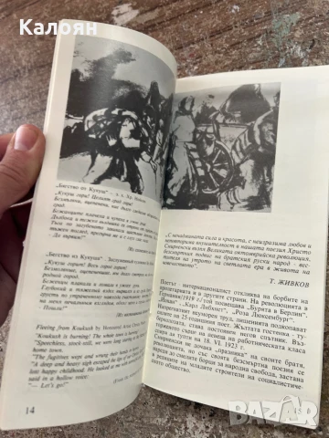 Музей Христо Смирненски дипляна , снимка 2 - Други - 51012010