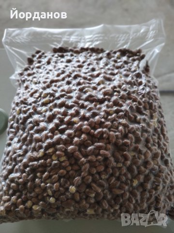 Български лешници без черупка - реколта 2025 г., снимка 5 - Други - 35210181