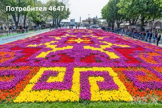 Фестивал на лалетата в Истанбул с 3 нощувки от Варна и Бургас