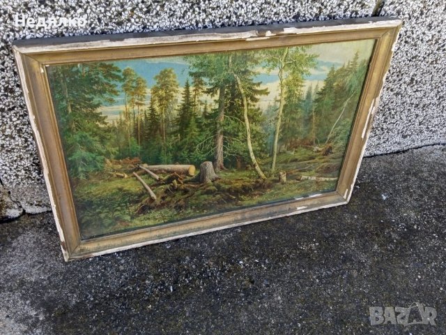 И.Шишкин,Рубка леса, картина, репродукция,1965г