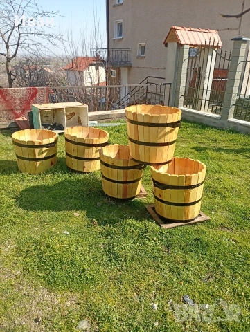 саксии за лимони и палми