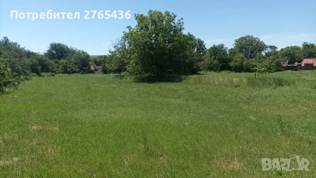 Къща село Михалич, снимка 4 - Къщи - 55852886