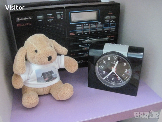 Canon PowerShot A1100 IS   12.1 MPx, снимка 9 - Фотоапарати - 52867169