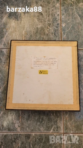 Тарантула Паяк, снимка 4 - Колекции - 51264011