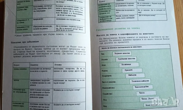Атлас по ботаника + Наръчник по биология, снимка 8 - Учебници, учебни тетрадки - 56155785