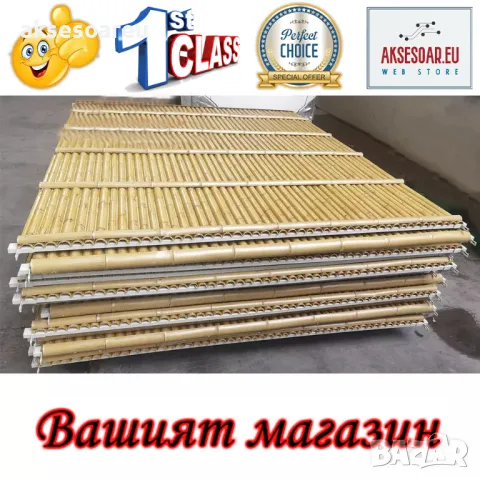 100 броя редки бамбукови семена зелен бамбук Moso-Bamboo мосо бамбо растение за декорация и украса , снимка 14 - Сортови семена и луковици - 48992845