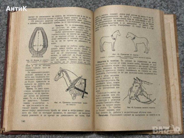 Наръчник по Коневъдство Земиздат 1952, снимка 8 - Специализирана литература - 53713358