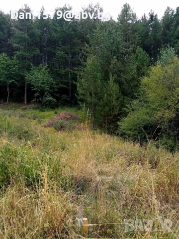 Продавам парцел в село Люлин , снимка 2 - Парцели - 51467133