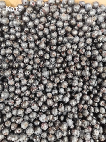 Арония суха