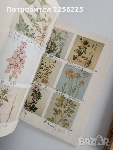 ЛОТ Билко - събиране, снимка 3 - Специализирана литература - 53208657