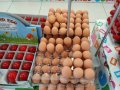 Изкуствени пластмасови яйца за кокошки тежки, снимка 16