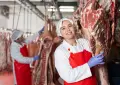 МЕСОПРЕРАБОТВАТЕЛНА ФАБРИКА – ХОЛАНДИЯ, снимка 1