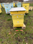 Продавам пчелни семейства с многокорпусен кошери, снимка 14