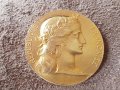 Сребърен позлатен Медал Франция на източното индустриялно общество , снимка 1 - Нумизматика и бонистика - 41343546