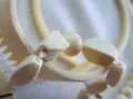Пълен дамски комплект от слонова кост, снимка 2
