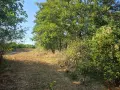 парцел местност  Боровец - юг, снимка 4