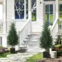 HOMCOM 2 бр от изкуствени кипариси, снимка 8