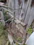 Старинно колело марка Лястовица , снимка 10