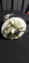 Кошница Рено Меган 2 - Гранд Сценик - 8200288808 N, снимка 4
