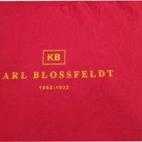 Karl Blossfeldt,тениска, снимка 7 - Тениски - 39283361