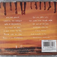 Paul McCartney – Off The Ground, снимка 2 - CD дискове - 44294236